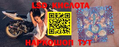 СК Славгород
