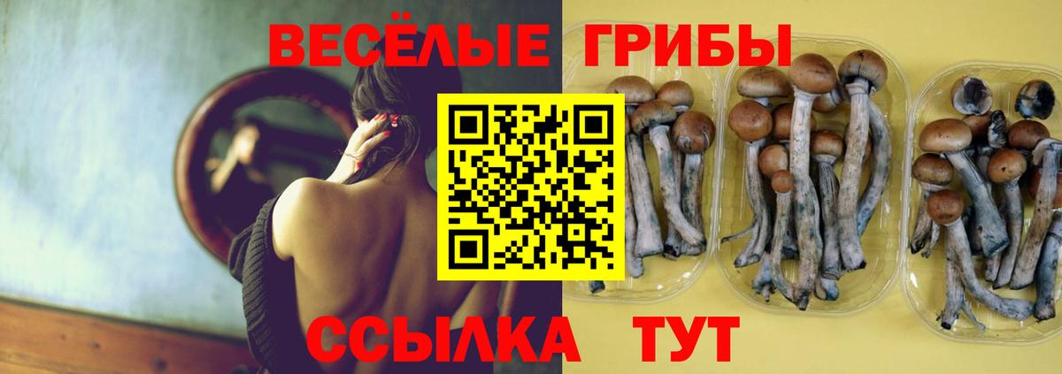 Сафоново  Псилоцибиновые грибы прущие грибы  как найти закладки  Вход с VPN 